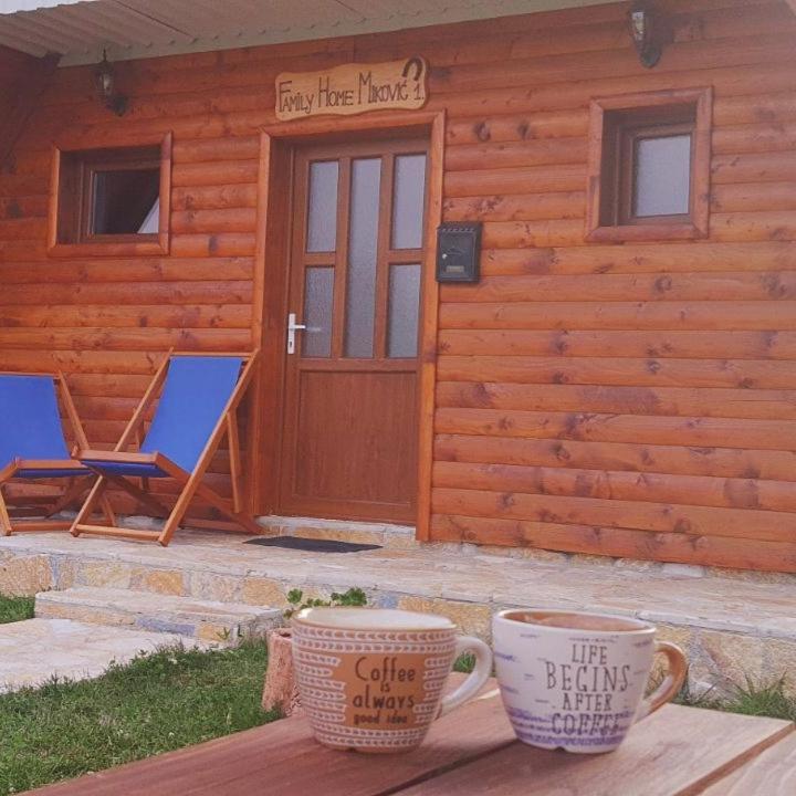 Family Home Mikovic Žabljak Zewnętrze zdjęcie